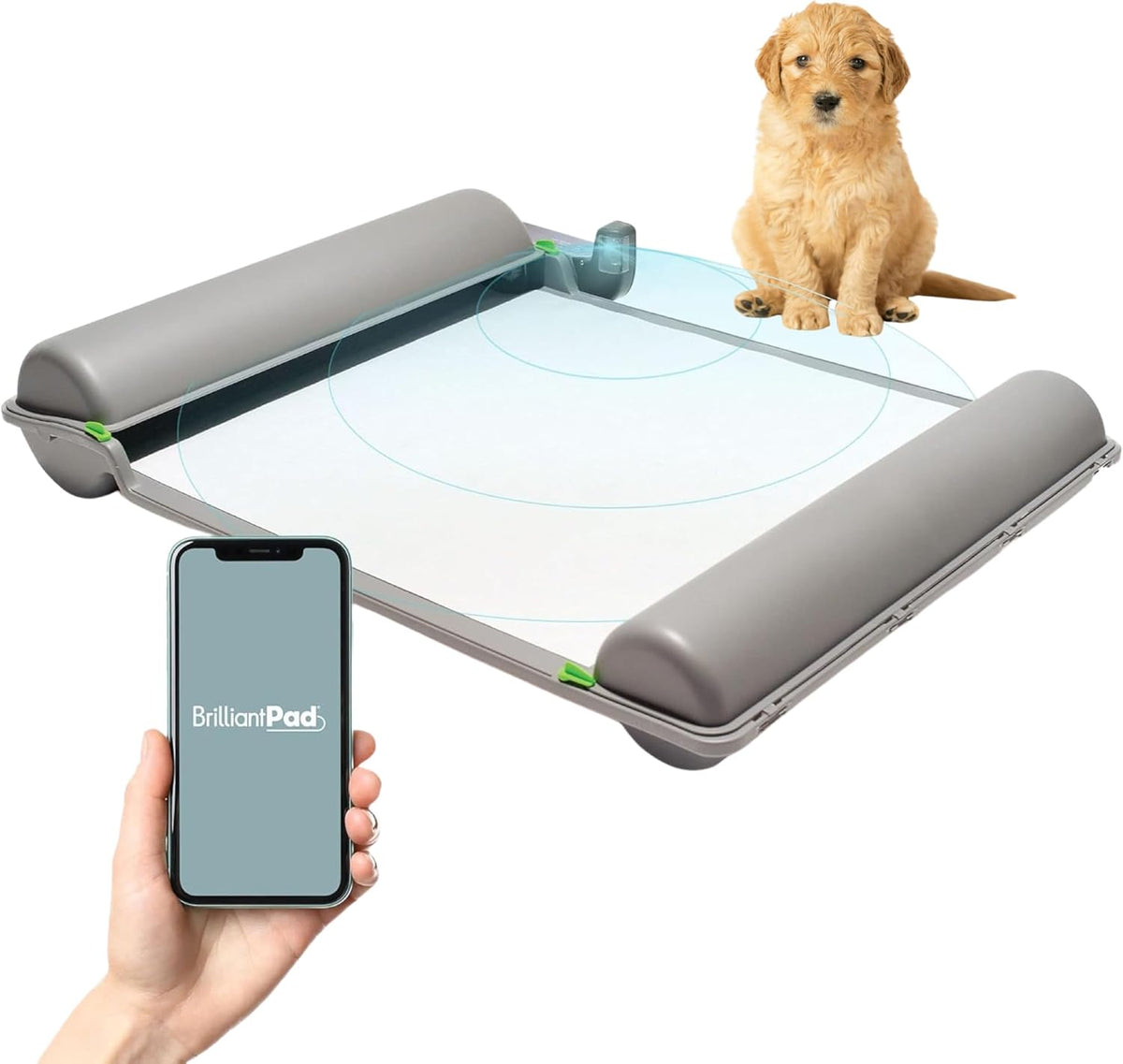 Automatic Self-Cleaning Indoor Dog Potty, Basic (1 Roll)