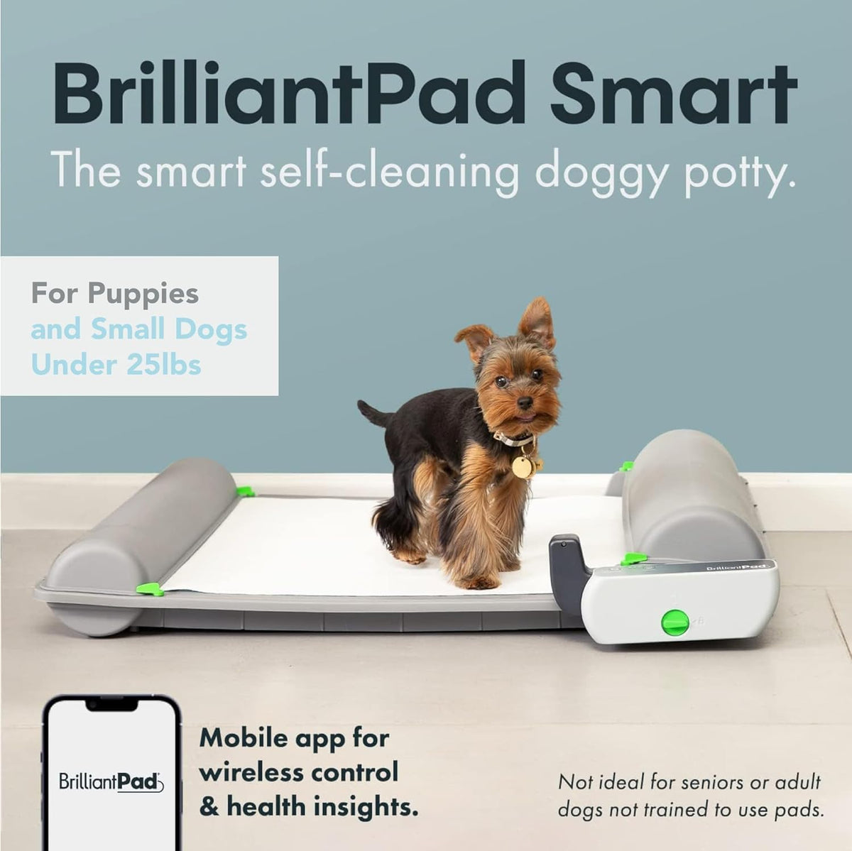 Automatic Self-Cleaning Indoor Dog Potty, Basic (1 Roll)