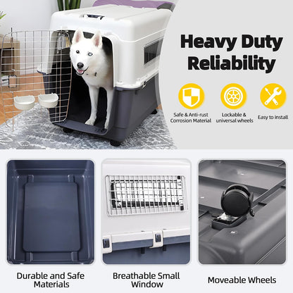 Plastic Kennels, Plastic Dog Crate, Airline Approved Pet Carrier for Dogs and Cats Longer Traveling, M