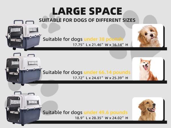 Plastic Kennels, Plastic Dog Crate, Airline Approved Pet Carrier for Dogs and Cats Longer Traveling, M