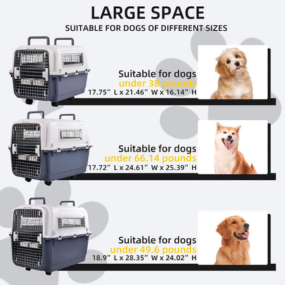 Plastic Kennels, Plastic Dog Crate, Airline Approved Pet Carrier for Dogs and Cats Longer Traveling, M