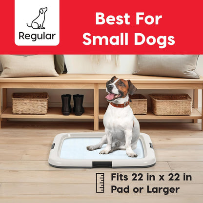 Secure Pee Pad Holder for Regular Sized Dogs, Fits 22"x22" Pad, Gray