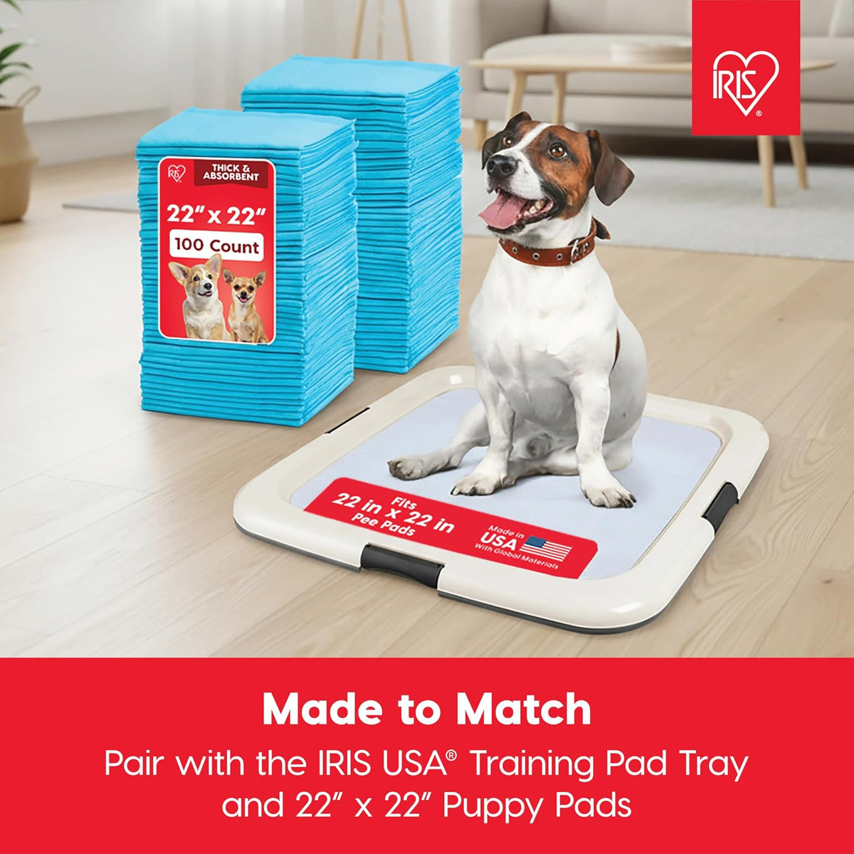 Secure Pee Pad Holder for Regular Sized Dogs, Fits 22"x22" Pad, Gray