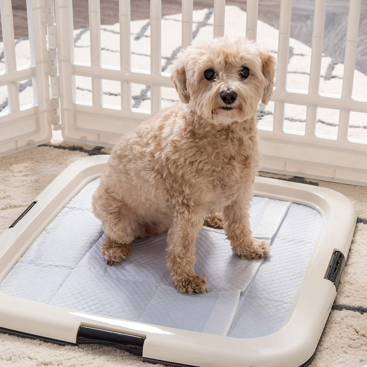 Secure Pee Pad Holder for Regular Sized Dogs, Fits 22"x22" Pad, Gray