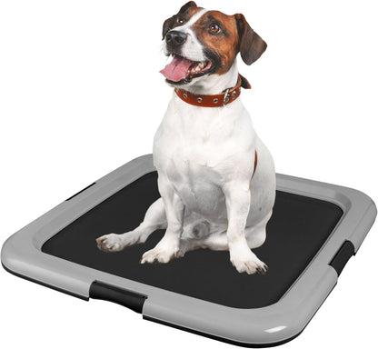 Secure Pee Pad Holder for Regular Sized Dogs, Fits 22"x22" Pad, Gray