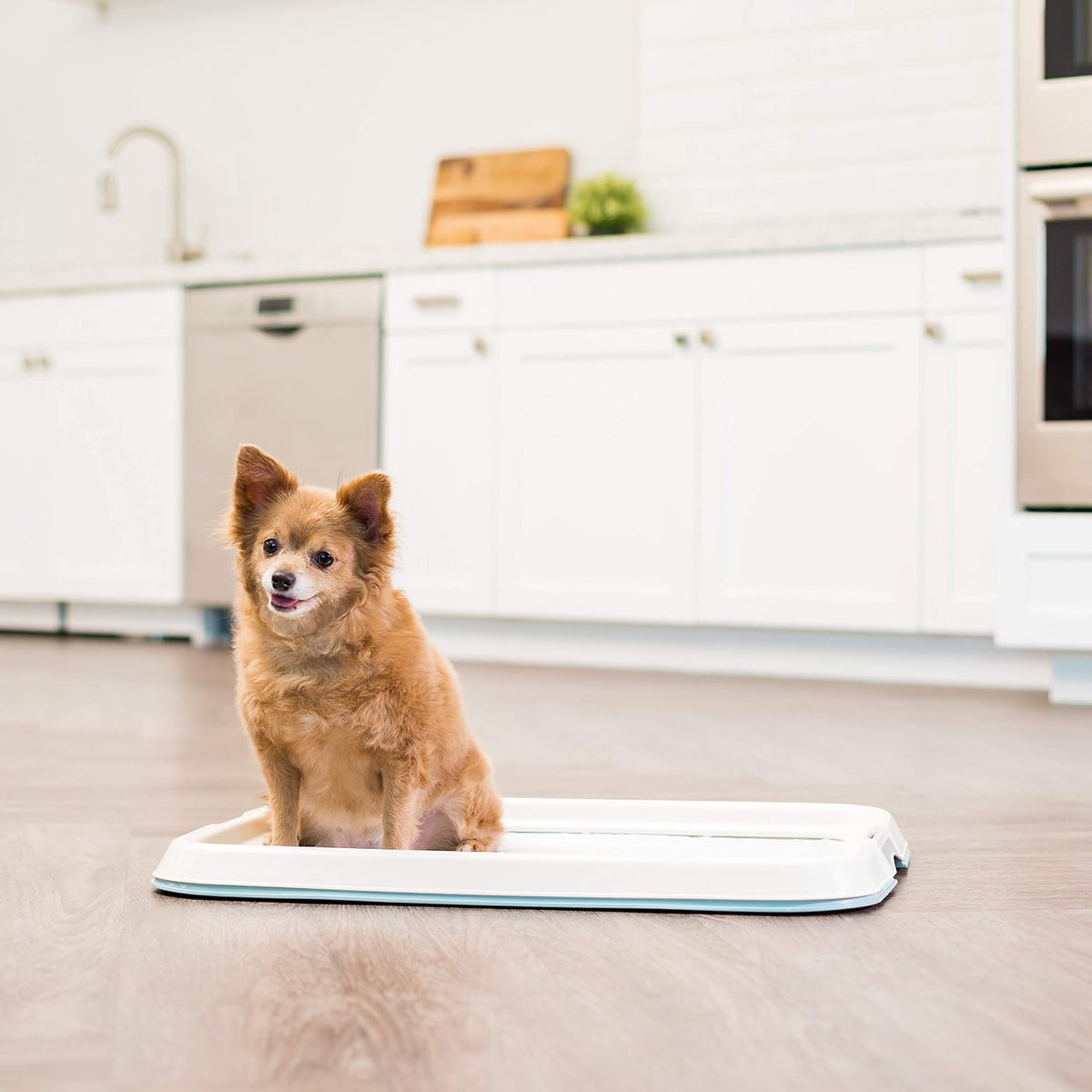 Secure Pee Pad Holder for Regular Sized Dogs, Fits 22"x22" Pad, Gray