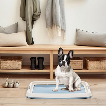 Secure Pee Pad Holder for Regular Sized Dogs, Fits 22"x22" Pad, Gray