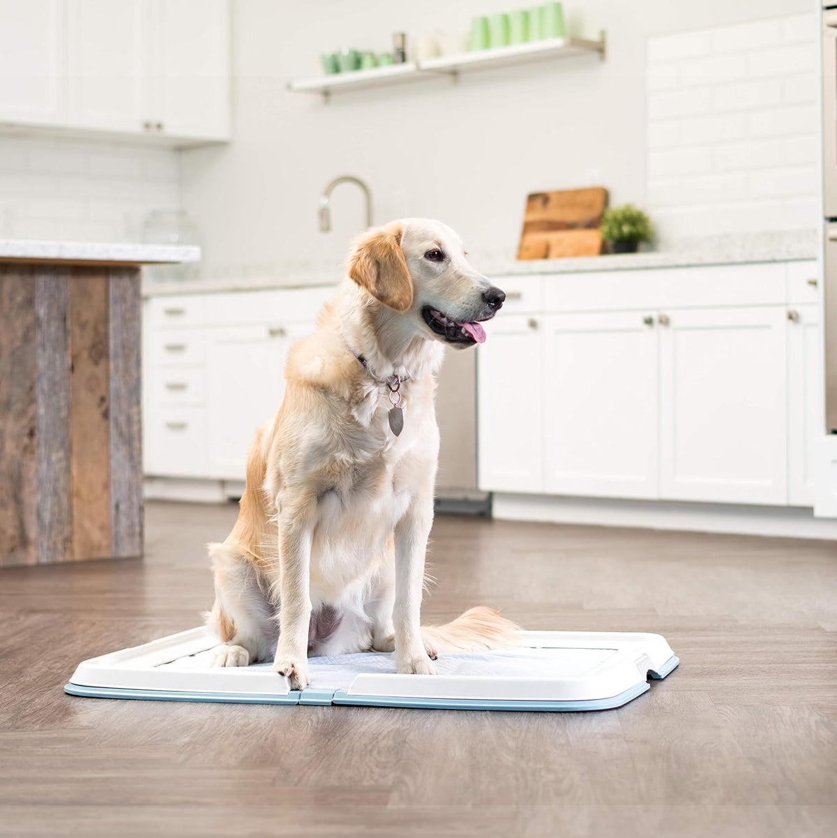 Secure Pee Pad Holder for Regular Sized Dogs, Fits 22"x22" Pad, Gray