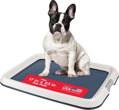 Secure Pee Pad Holder for Regular Sized Dogs, Fits 22"x22" Pad, Gray