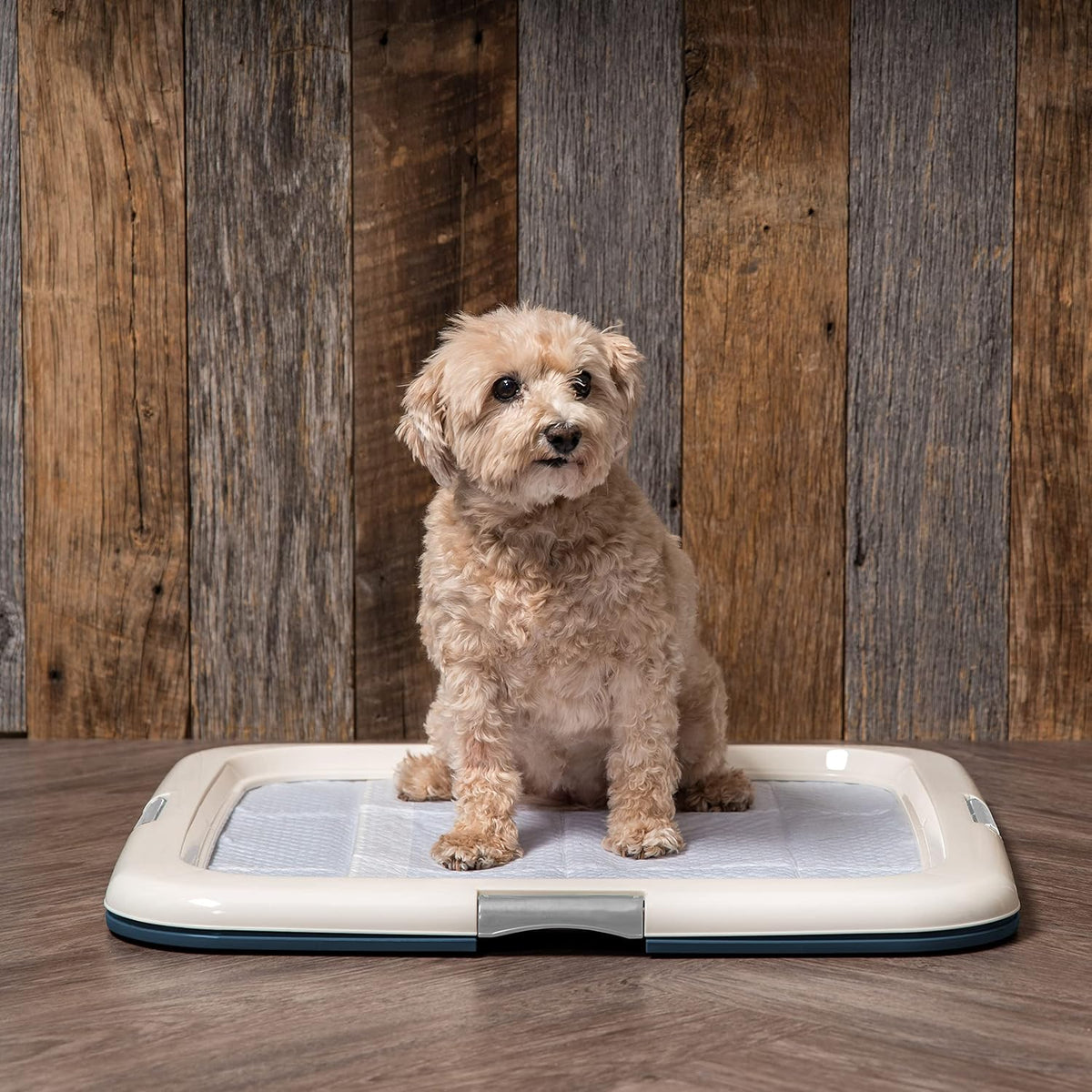 Secure Pee Pad Holder for Regular Sized Dogs, Fits 22"x22" Pad, Gray