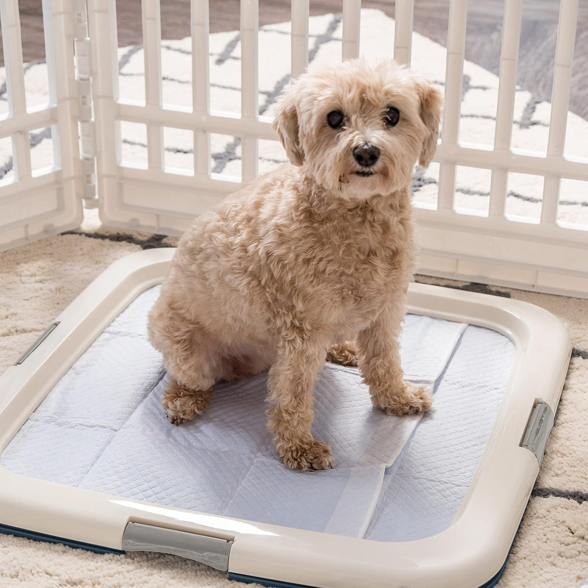 Secure Pee Pad Holder for Regular Sized Dogs, Fits 22"x22" Pad, Gray