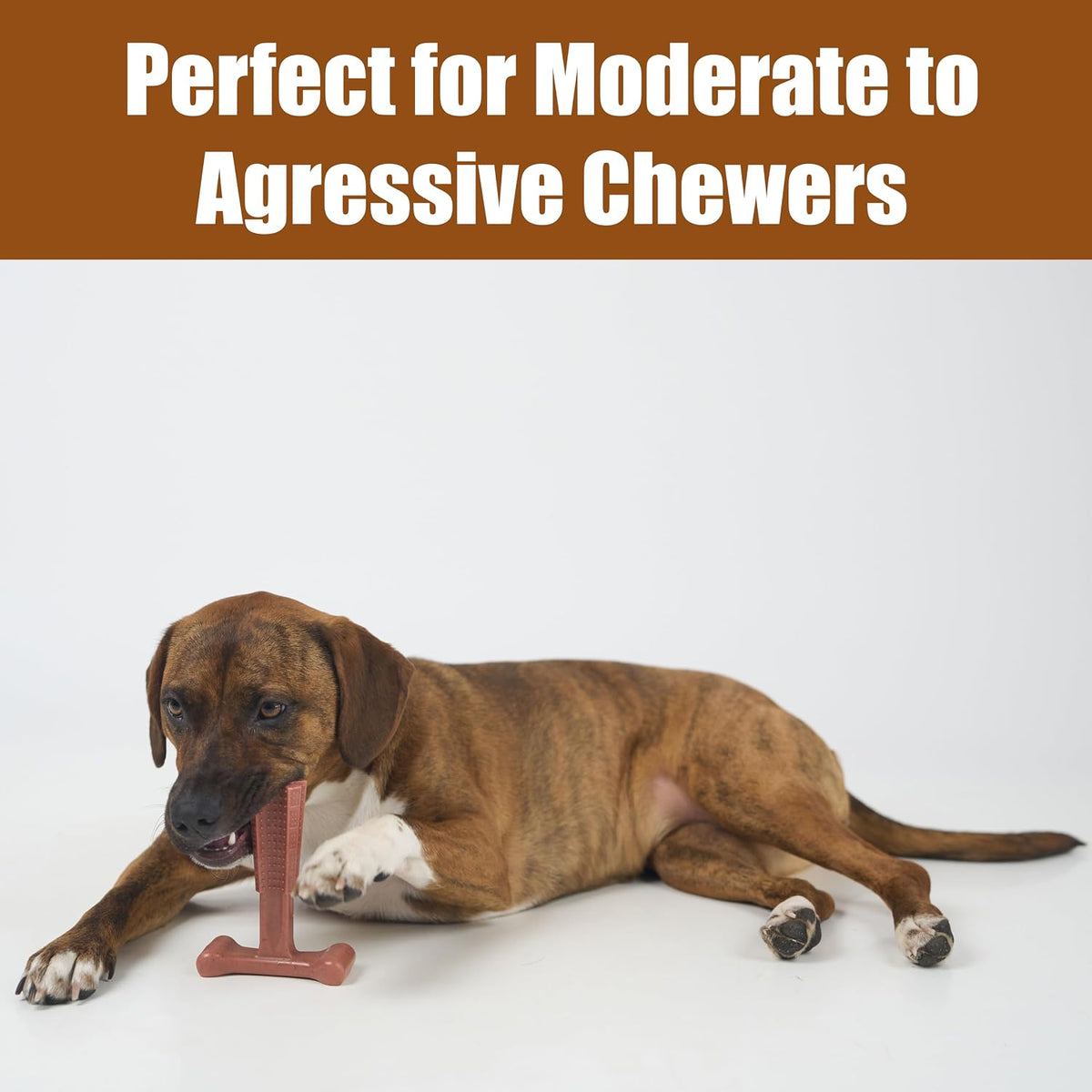 Bam-Bones Plus T Bone – Bamboo Fiber & Nylon Dog Chew Toy for Moderate to Aggressive Chewers, Durable Long Lasting & Non-Splintering, Beef Flavor Toy for Adult Dogs & Puppies Under 60 lbs, 6 in