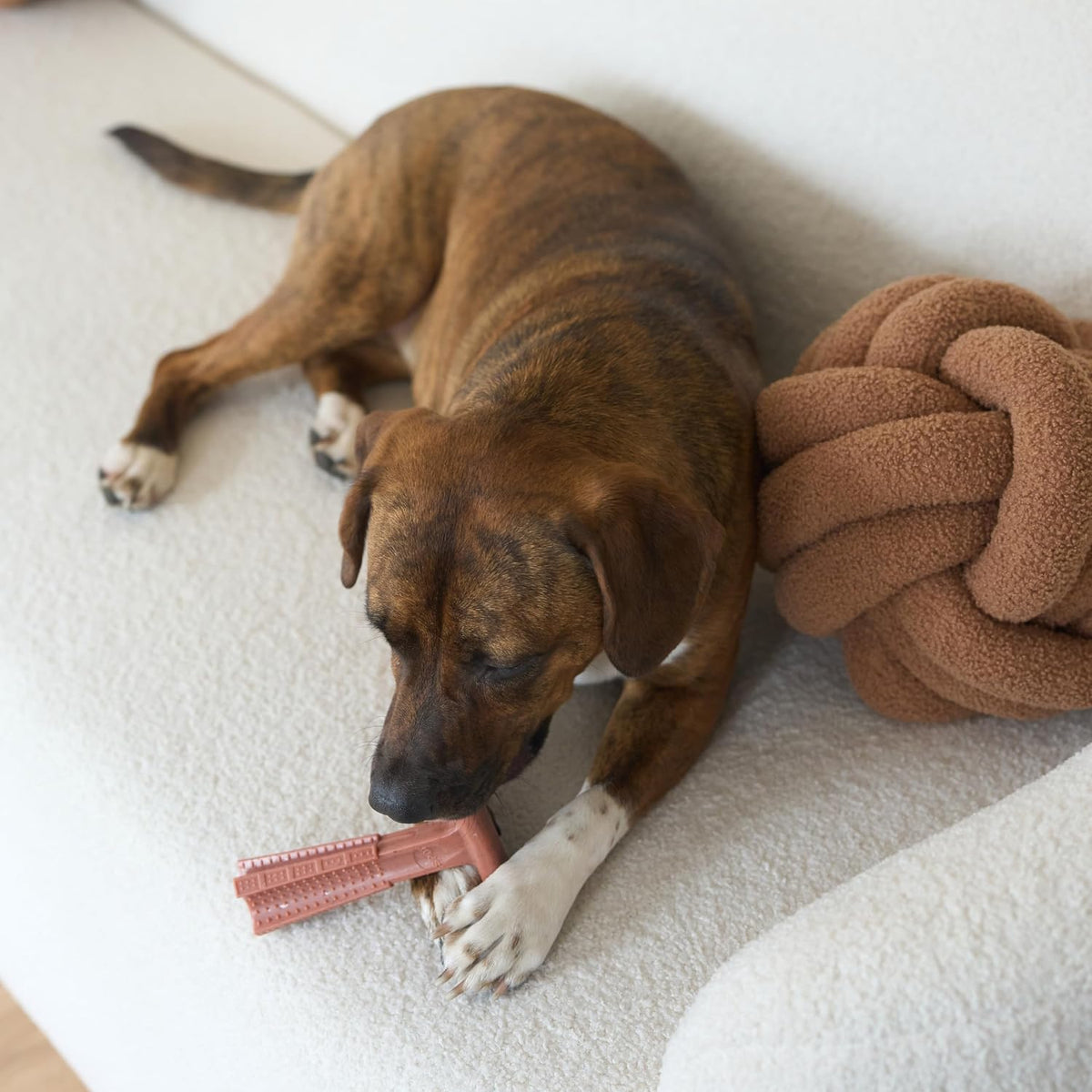 Bam-Bones Plus T Bone – Bamboo Fiber & Nylon Dog Chew Toy for Moderate to Aggressive Chewers, Durable Long Lasting & Non-Splintering, Beef Flavor Toy for Adult Dogs & Puppies Under 60 lbs, 6 in