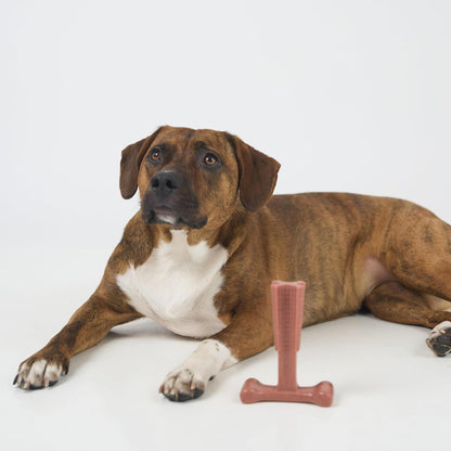 Bam-Bones Plus T Bone – Bamboo Fiber & Nylon Dog Chew Toy for Moderate to Aggressive Chewers, Durable Long Lasting & Non-Splintering, Beef Flavor Toy for Adult Dogs & Puppies Under 60 lbs, 6 in
