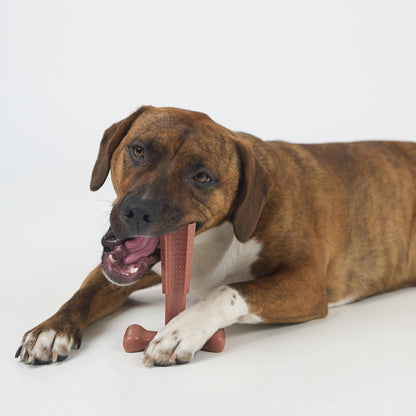 Bam-Bones Plus T Bone – Bamboo Fiber & Nylon Dog Chew Toy for Moderate to Aggressive Chewers, Durable Long Lasting & Non-Splintering, Beef Flavor Toy for Adult Dogs & Puppies Under 60 lbs, 6 in