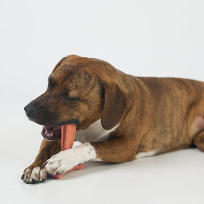 Bam-Bones Plus T Bone – Bamboo Fiber & Nylon Dog Chew Toy for Moderate to Aggressive Chewers, Durable Long Lasting & Non-Splintering, Beef Flavor Toy for Adult Dogs & Puppies Under 60 lbs, 6 in