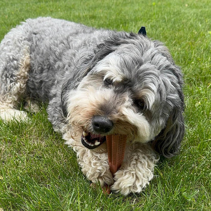 Bam-Bones Plus T Bone – Bamboo Fiber & Nylon Dog Chew Toy for Moderate to Aggressive Chewers, Durable Long Lasting & Non-Splintering, Beef Flavor Toy for Adult Dogs & Puppies Under 60 lbs, 6 in