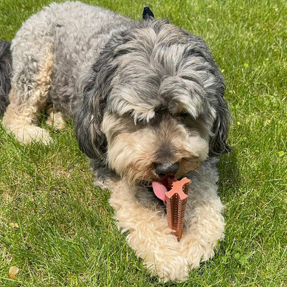 Bam-Bones Plus T Bone – Bamboo Fiber & Nylon Dog Chew Toy for Moderate to Aggressive Chewers, Durable Long Lasting & Non-Splintering, Beef Flavor Toy for Adult Dogs & Puppies Under 60 lbs, 6 in