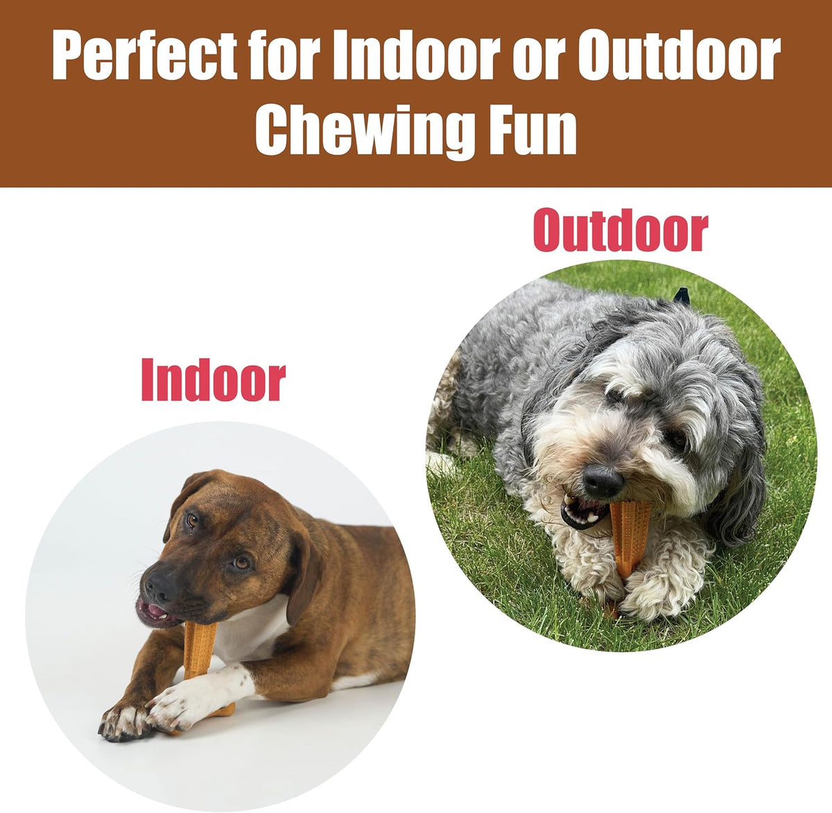 Bam-Bones Plus T Bone – Bamboo Fiber & Nylon Dog Chew Toy for Moderate to Aggressive Chewers, Durable Long Lasting & Non-Splintering, Beef Flavor Toy for Adult Dogs & Puppies Under 60 lbs, 6 in