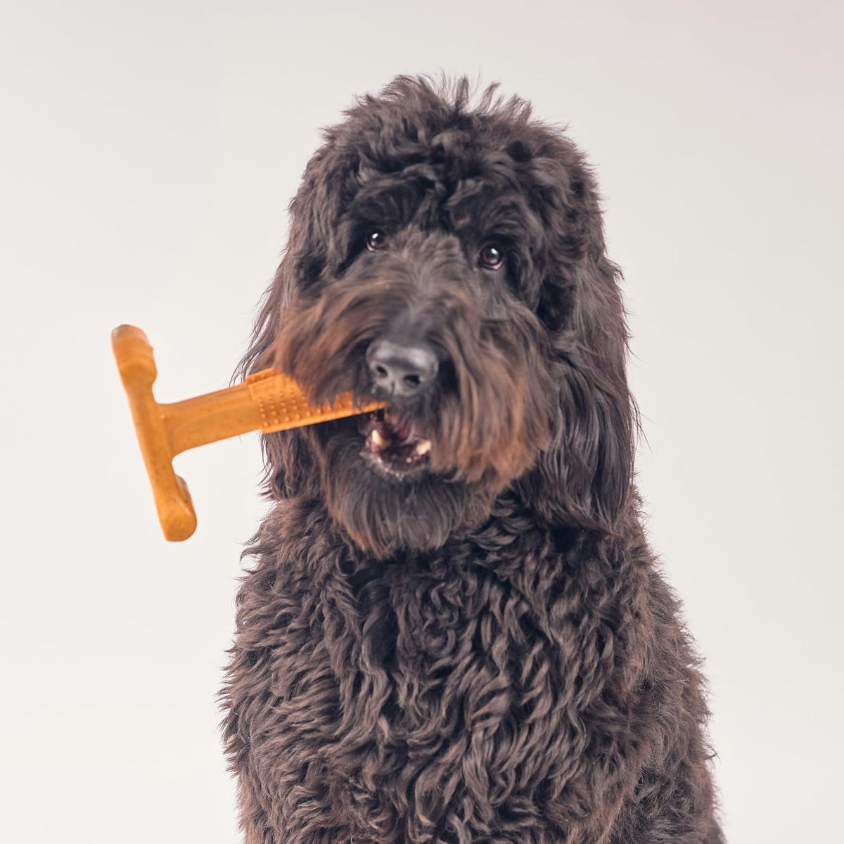 Bam-Bones Plus T Bone – Bamboo Fiber & Nylon Dog Chew Toy for Moderate to Aggressive Chewers, Durable Long Lasting & Non-Splintering, Beef Flavor Toy for Adult Dogs & Puppies Under 60 lbs, 6 in