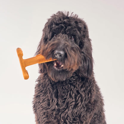 Bam-Bones Plus T Bone – Bamboo Fiber & Nylon Dog Chew Toy for Moderate to Aggressive Chewers, Durable Long Lasting & Non-Splintering, Beef Flavor Toy for Adult Dogs & Puppies Under 60 lbs, 6 in