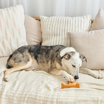 Bam-Bones Plus T Bone – Bamboo Fiber & Nylon Dog Chew Toy for Moderate to Aggressive Chewers, Durable Long Lasting & Non-Splintering, Beef Flavor Toy for Adult Dogs & Puppies Under 60 lbs, 6 in