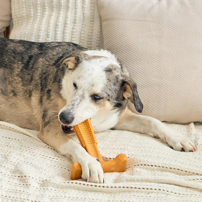 Bam-Bones Plus T Bone – Bamboo Fiber & Nylon Dog Chew Toy for Moderate to Aggressive Chewers, Durable Long Lasting & Non-Splintering, Beef Flavor Toy for Adult Dogs & Puppies Under 60 lbs, 6 in