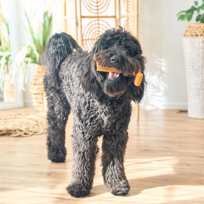 Bam-Bones Plus T Bone – Bamboo Fiber & Nylon Dog Chew Toy for Moderate to Aggressive Chewers, Durable Long Lasting & Non-Splintering, Beef Flavor Toy for Adult Dogs & Puppies Under 60 lbs, 6 in