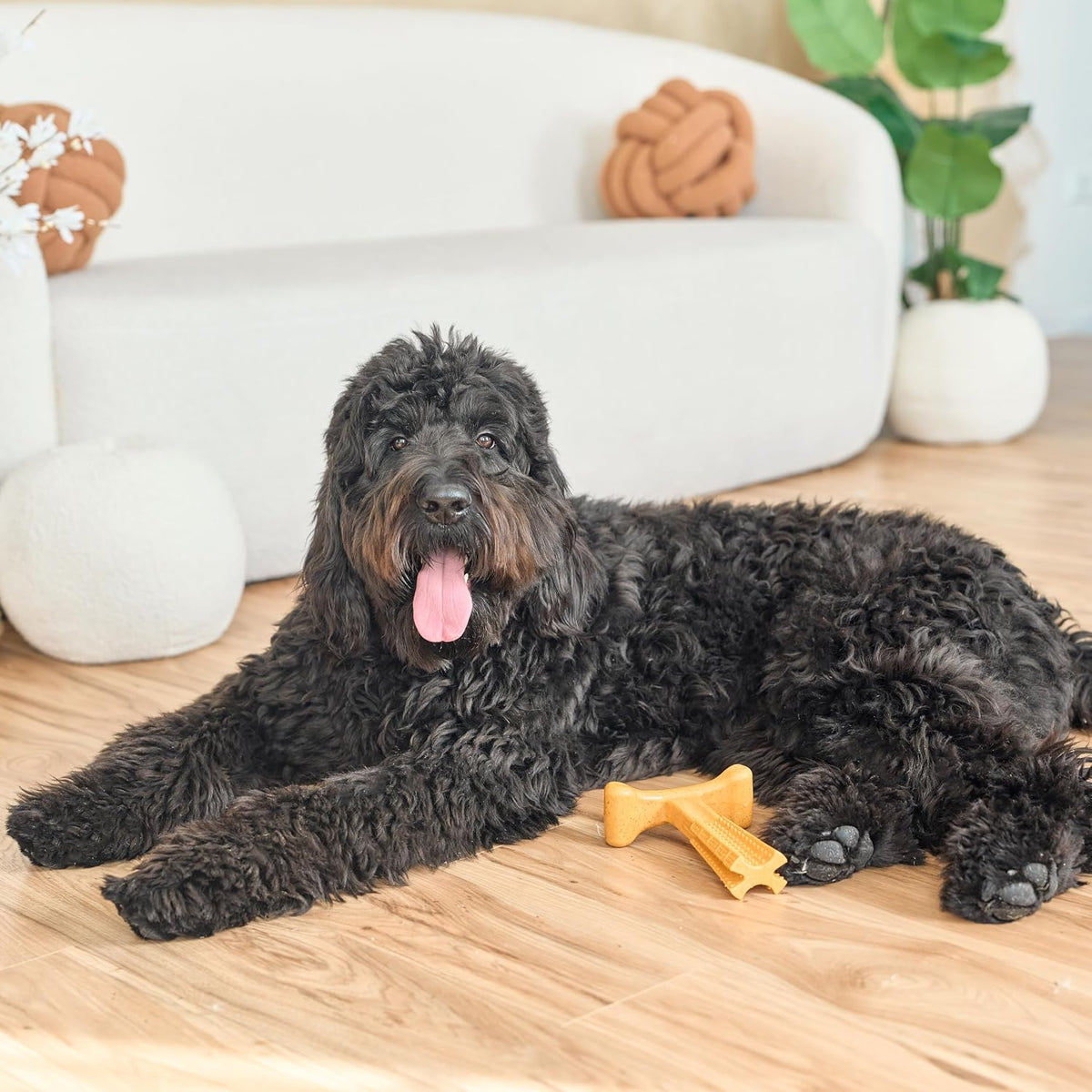 Bam-Bones Plus T Bone – Bamboo Fiber & Nylon Dog Chew Toy for Moderate to Aggressive Chewers, Durable Long Lasting & Non-Splintering, Beef Flavor Toy for Adult Dogs & Puppies Under 60 lbs, 6 in