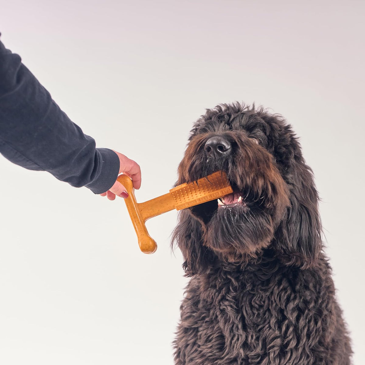 Bam-Bones Plus T Bone – Bamboo Fiber & Nylon Dog Chew Toy for Moderate to Aggressive Chewers, Durable Long Lasting & Non-Splintering, Beef Flavor Toy for Adult Dogs & Puppies Under 60 lbs, 6 in