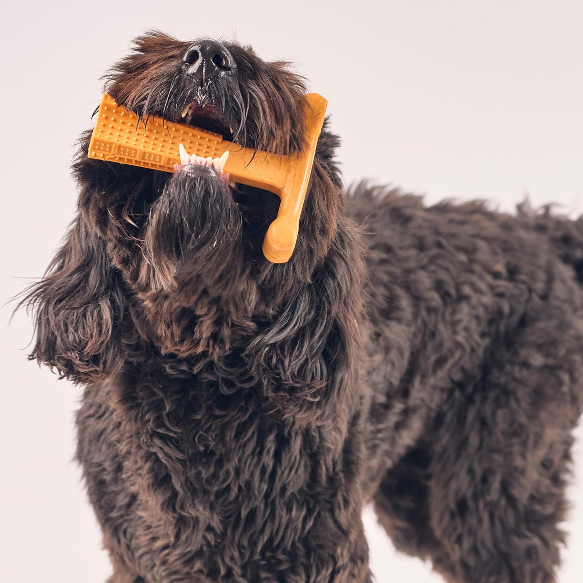 Bam-Bones Plus T Bone – Bamboo Fiber & Nylon Dog Chew Toy for Moderate to Aggressive Chewers, Durable Long Lasting & Non-Splintering, Beef Flavor Toy for Adult Dogs & Puppies Under 60 lbs, 6 in