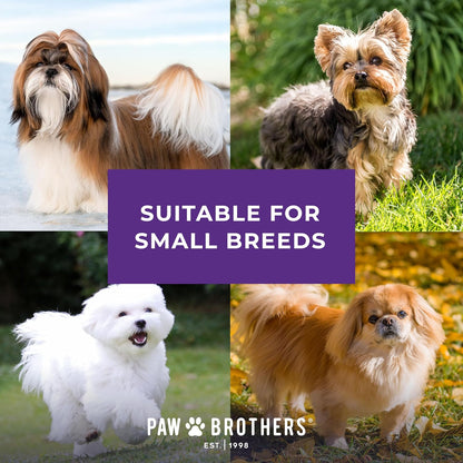 Paw Brothers Soft Flat Slicker Brush for Dogs, Grooming Brush Small and Medium Dogs, Coated Tips, Gentle on Skin, Maximum Coverage, Medium
