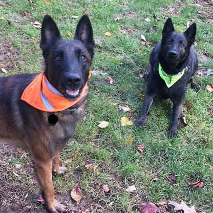 2 Pack Reflective Dog Bandana for Night Safety - High Visibility Adjustable Dog Scarf in Orange/Yellow, Fits Small Medium Large Dogs(Small)