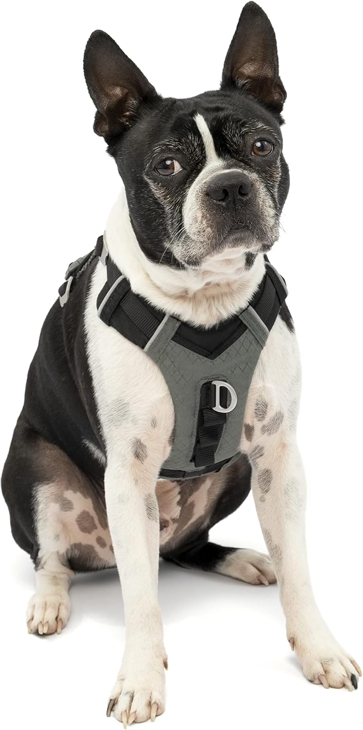 Journey Air Dog Harness, Black, Medium