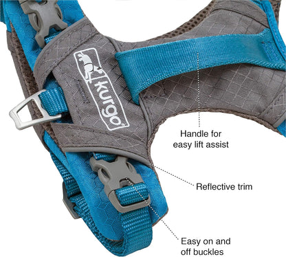 Journey Air Dog Harness, Black, Medium