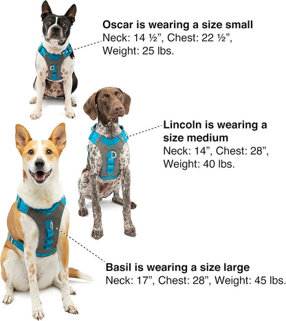 Journey Air Dog Harness, Black, Medium