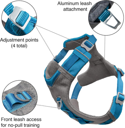 Journey Air Dog Harness, Black, Medium