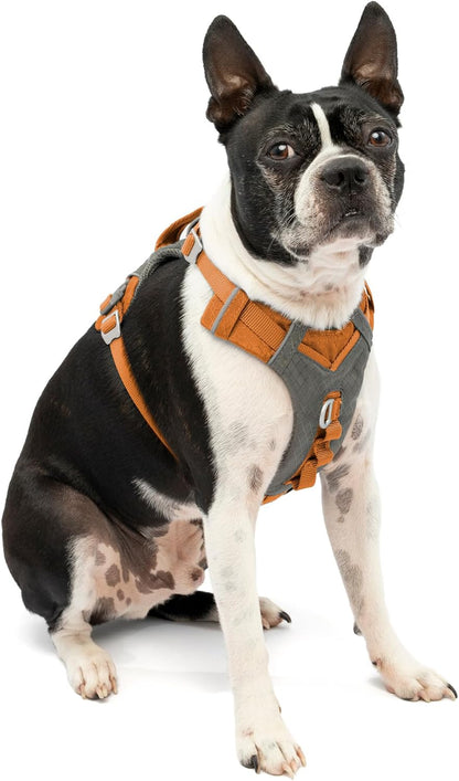 Journey Air Dog Harness, Black, Medium