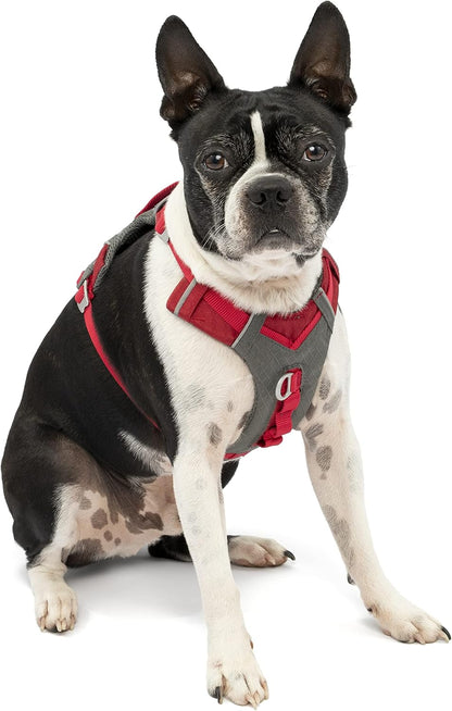 Journey Air Dog Harness, Black, Medium
