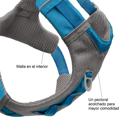 Journey Air Dog Harness, Black, Medium
