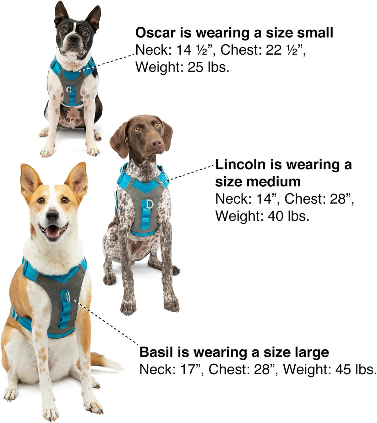 Journey Air Dog Harness, Black, Medium