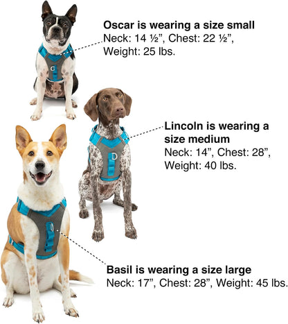 Journey Air Dog Harness, Black, Medium