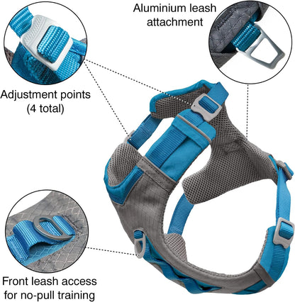 Journey Air Dog Harness, Black, Medium