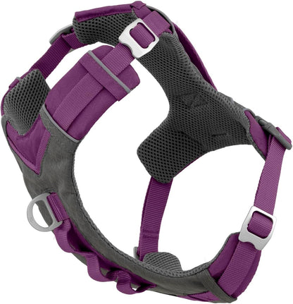 Journey Air Dog Harness, Black, Medium