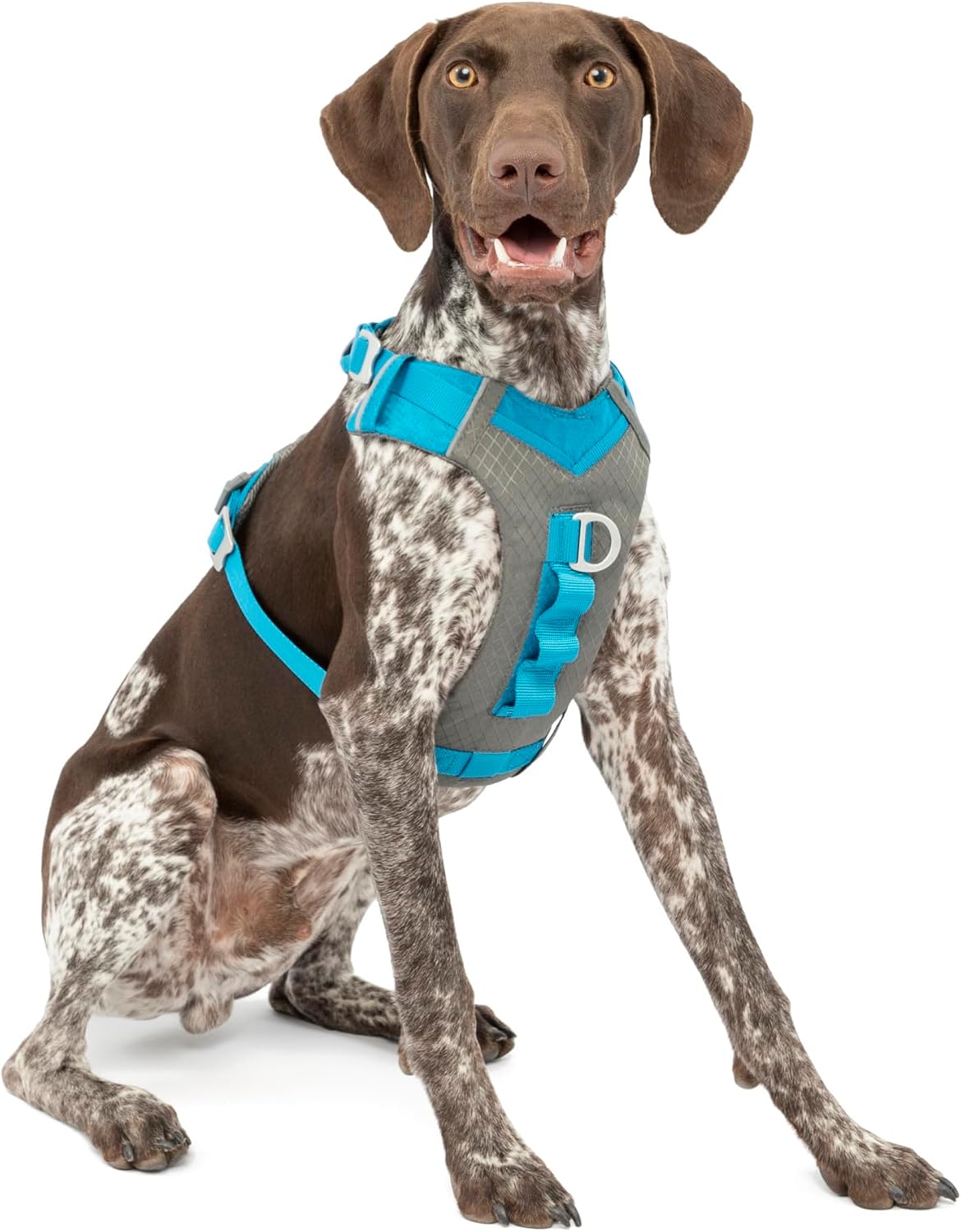 Journey Air Dog Harness, Black, Medium