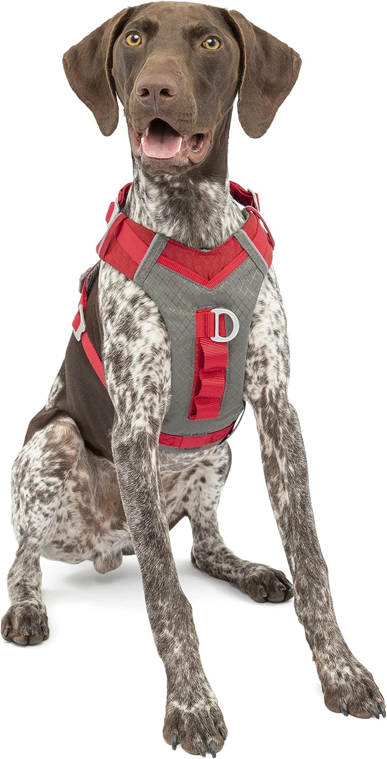 Journey Air Dog Harness, Black, Medium