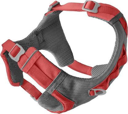 Journey Air Dog Harness, Black, Medium
