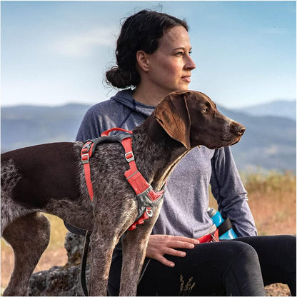Journey Air Dog Harness, Black, Medium