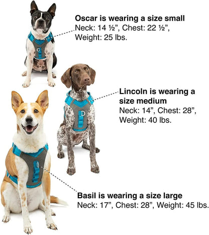 Journey Air Dog Harness, Black, Medium