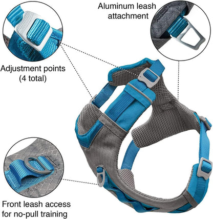 Journey Air Dog Harness, Black, Medium